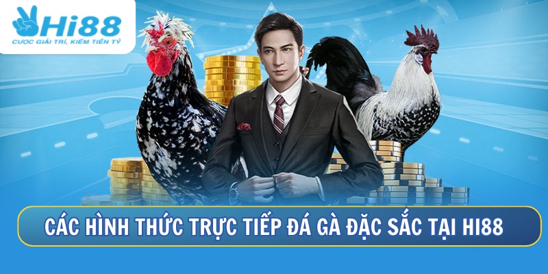Xem Đá Gà Trực Tiếp Hôm Nay Có Bình Luận Viên Tại Hi88 4 Các hình thức đá gà hấp dẫn không thể bỏ qua