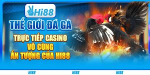 Đá Gà Hi88 - Địa Điểm Giải Trí Lý Tưởng Cho Các Kê Thủ