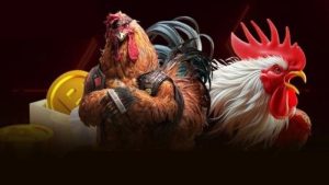 Đá Gà Thomo Là Gì? Mẹo Chơi Cực Hay Từ Kê Thủ Lão Làng
