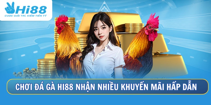 Xem Đá Gà Trực Tiếp Hôm Nay Có Bình Luận Viên Tại Hi88 3 Nhận nhiều khuyến mãi quà tặng khi chơi đá gà